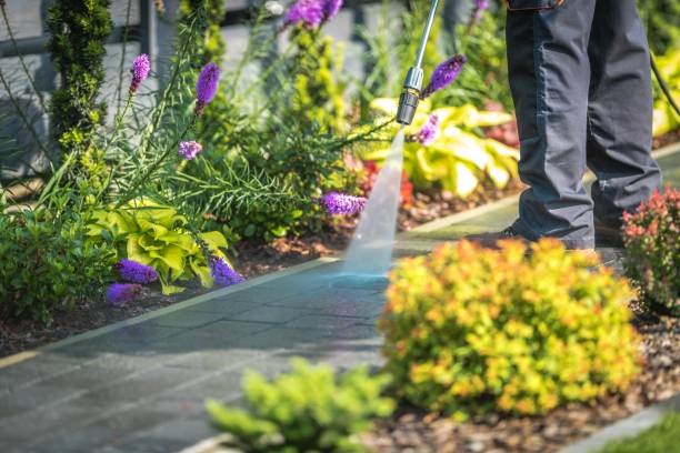 Best Winterizing Services  in Vincent, CA