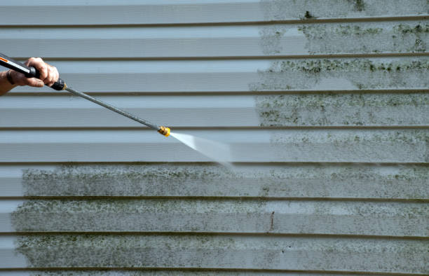 Best Gutter Cleaning  in Vincent, CA